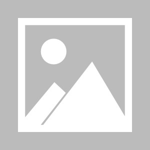 半岛体育官网-林良锋：奥莱自救妙笔，莫耶斯自毁点睛